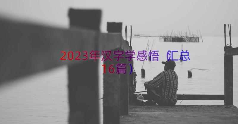 2023年汉字学感悟（汇总16篇）