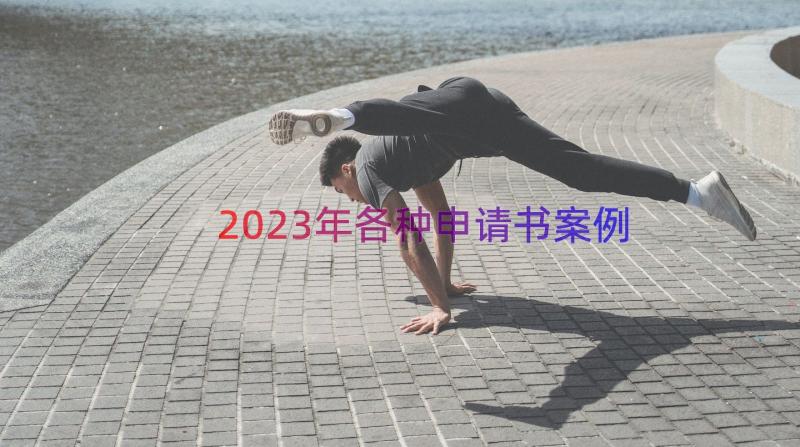 2023年各种申请书（案例18篇）