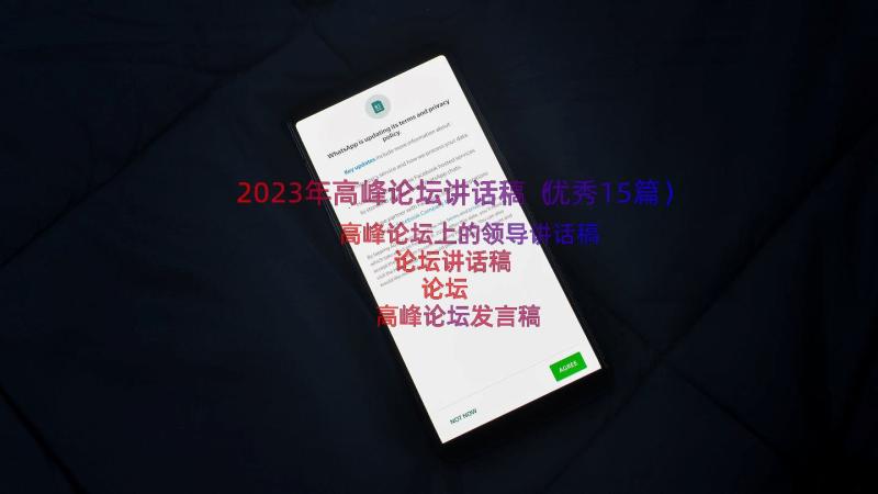 2023年高峰论坛讲话稿（优秀15篇）