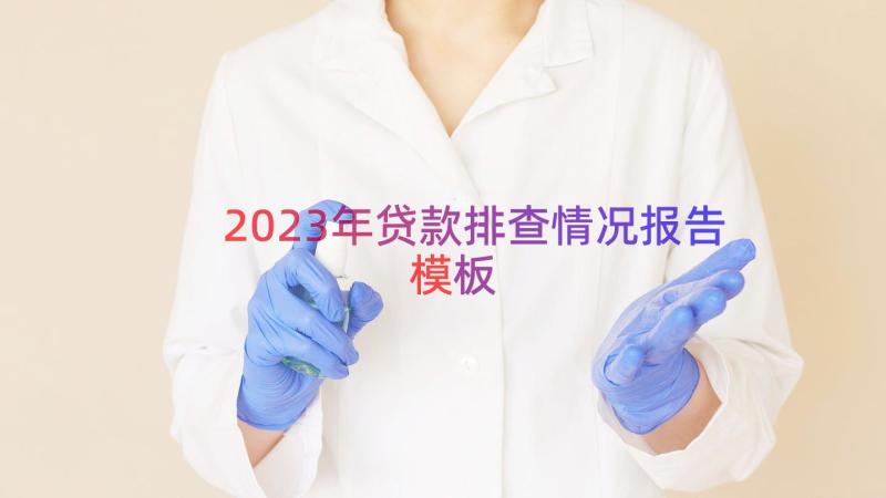 2023年贷款排查情况报告（模板16篇）