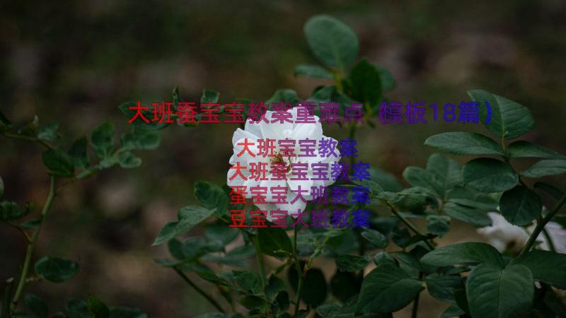 大班蚕宝宝教案重难点（模板18篇）