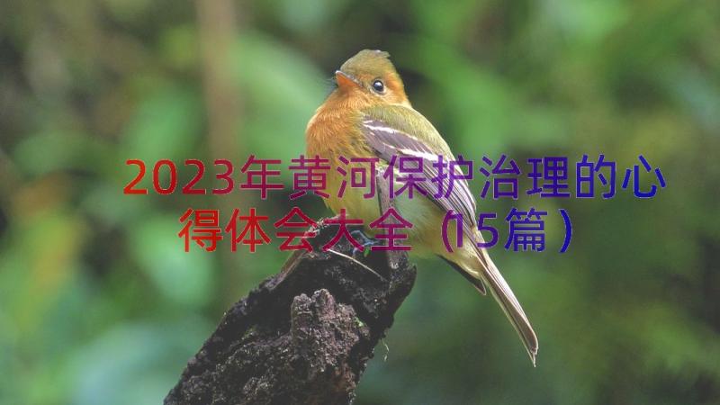 2023年黄河保护治理的心得体会大全（15篇）