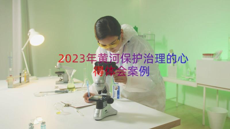 2023年黄河保护治理的心得体会（案例12篇）