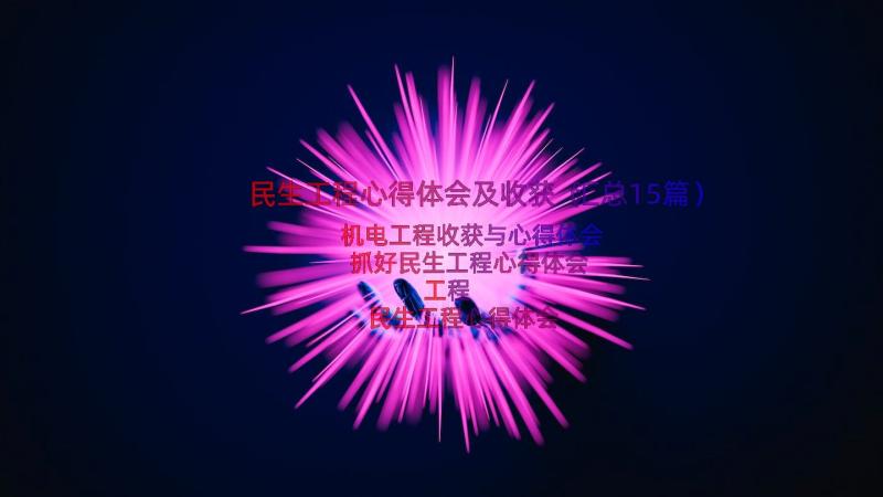 民生工程心得体会及收获（汇总15篇）