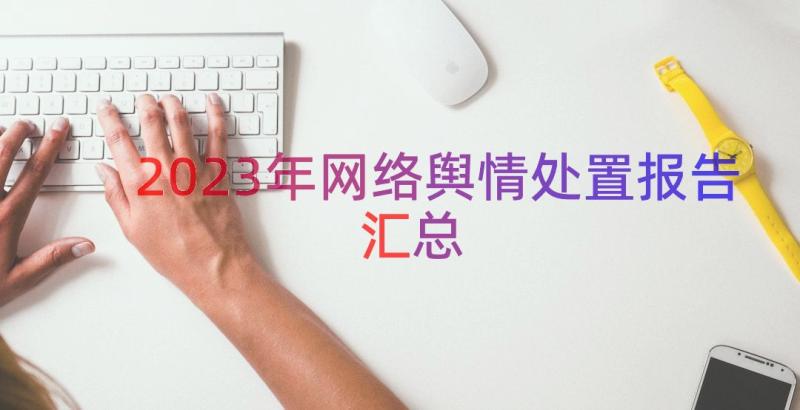 2023年网络舆情处置报告（汇总16篇）