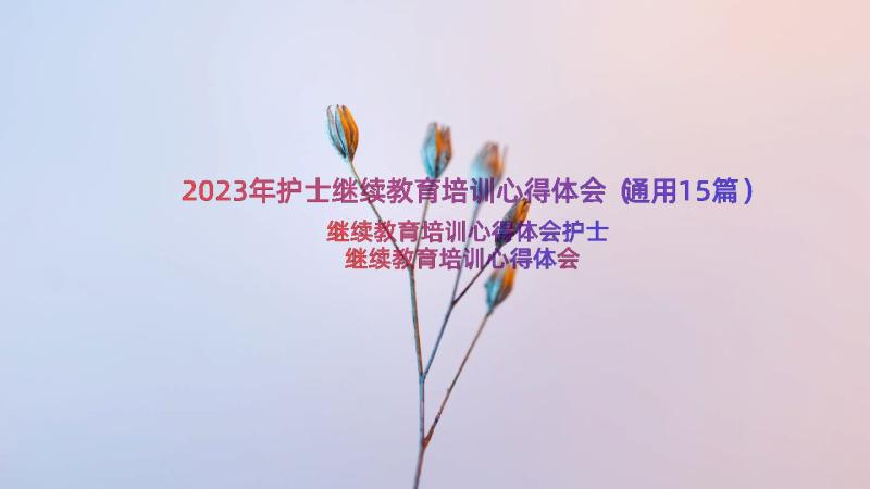 2023年护士继续教育培训心得体会（通用15篇）