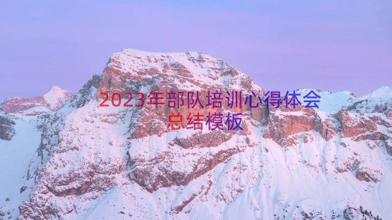 2023年部队培训心得体会总结（模板15篇）