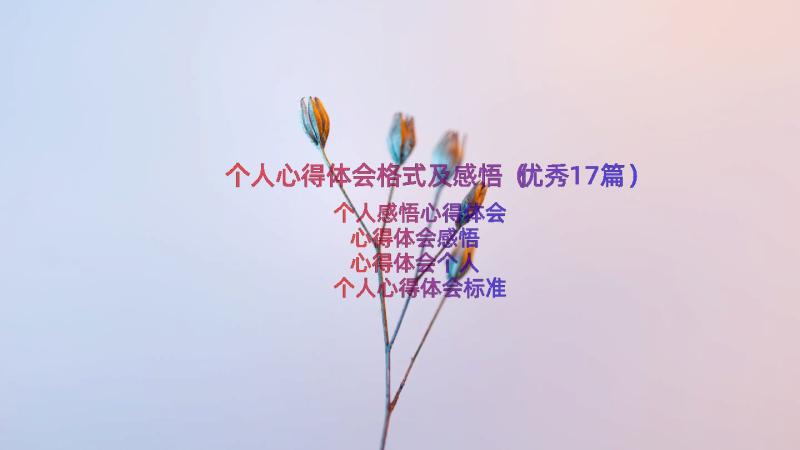 个人心得体会格式及感悟（优秀17篇）