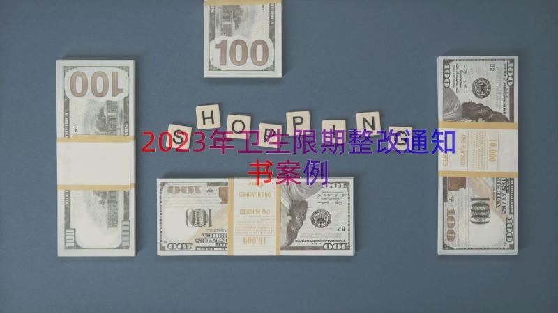 2023年卫生限期整改通知书（案例20篇）