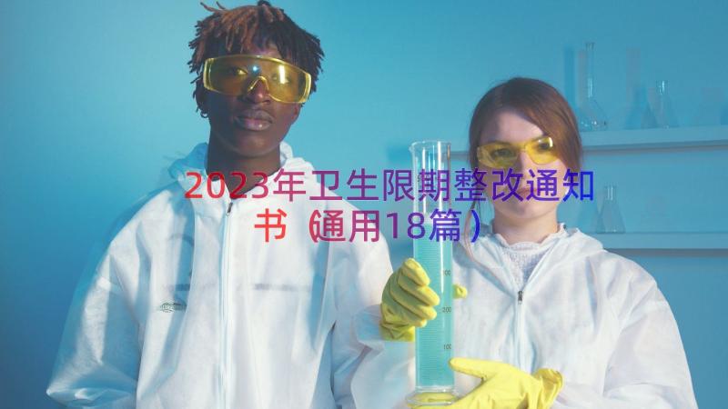 2023年卫生限期整改通知书（通用18篇）