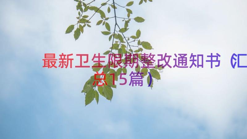 最新卫生限期整改通知书（汇总15篇）