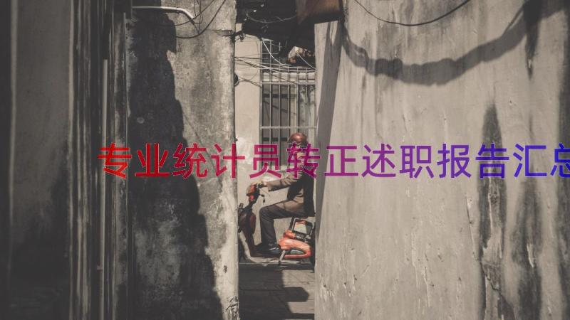 专业统计员转正述职报告（汇总21篇）