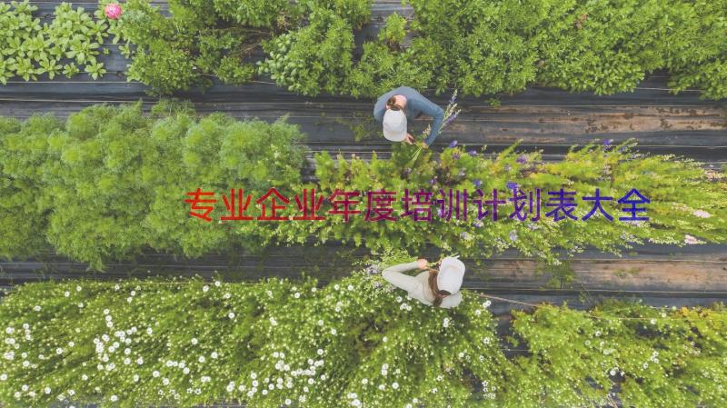 专业企业年度培训计划表大全