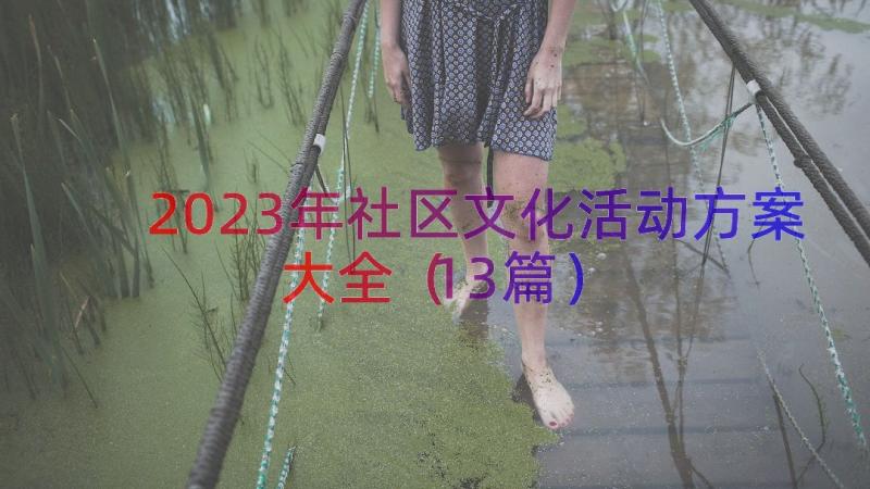 2023年社区文化活动方案大全（13篇）