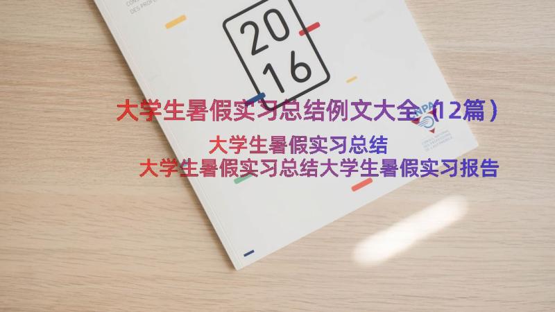 大学生暑假实习总结例文大全（12篇）