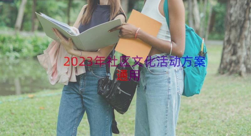 2023年社区文化活动方案（通用13篇）