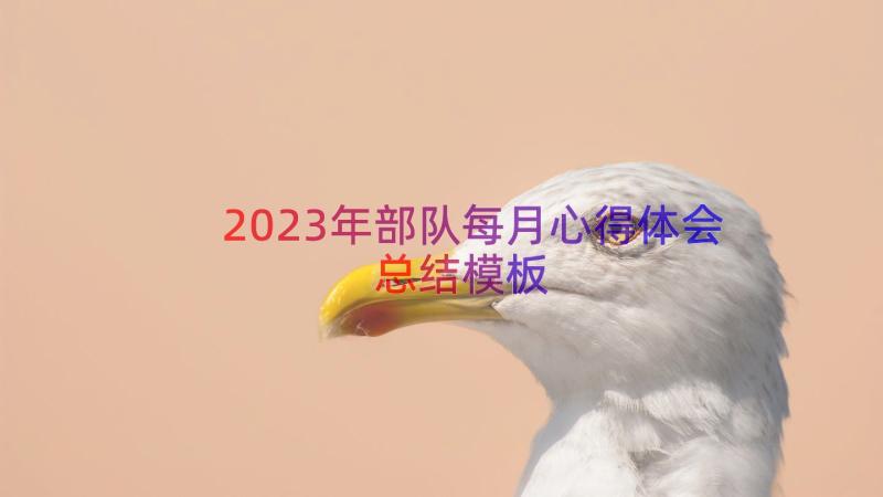 2023年部队每月心得体会总结（模板13篇）