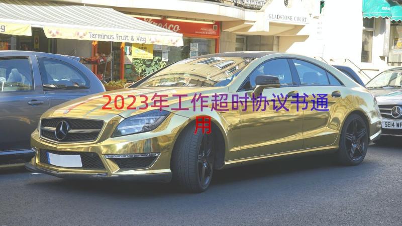 2023年工作超时协议书（通用13篇）