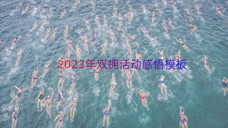 2023年双拥活动感悟（模板19篇）