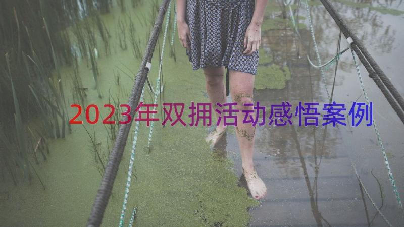 2023年双拥活动感悟（案例13篇）