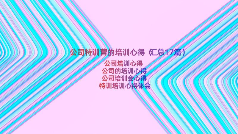 公司特训营的培训心得（汇总17篇）