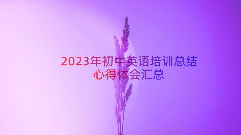 2023年初中英语培训总结心得体会（汇总16篇）