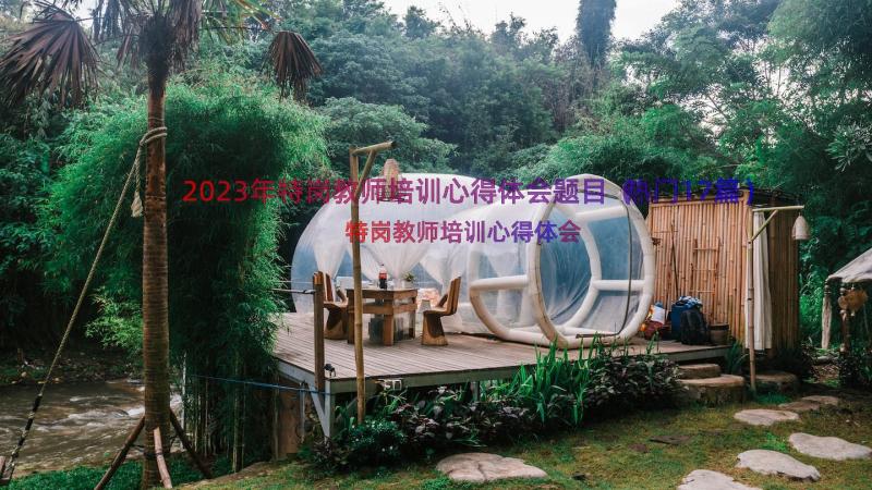 2023年特岗教师培训心得体会题目（热门17篇）