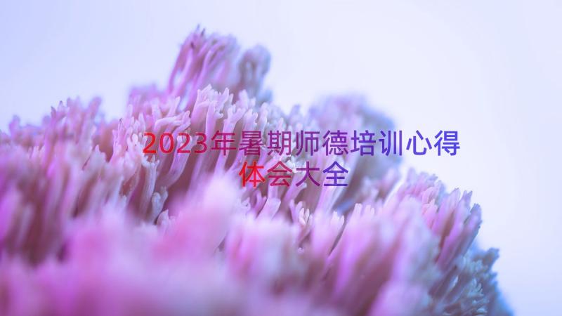 2023年暑期师德培训心得体会大全（16篇）