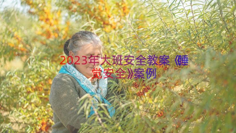 2023年大班安全教案《睡觉安全》（案例15篇）