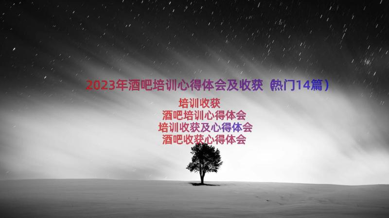 2023年酒吧培训心得体会及收获（热门14篇）