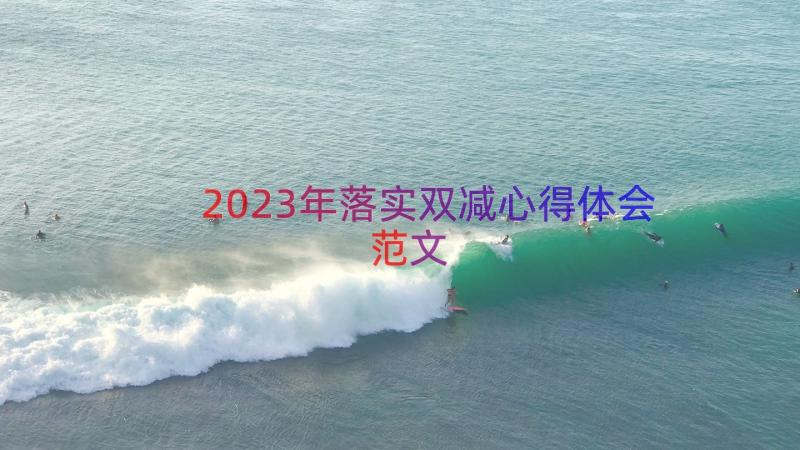 2023年落实双减心得体会范文（14篇）