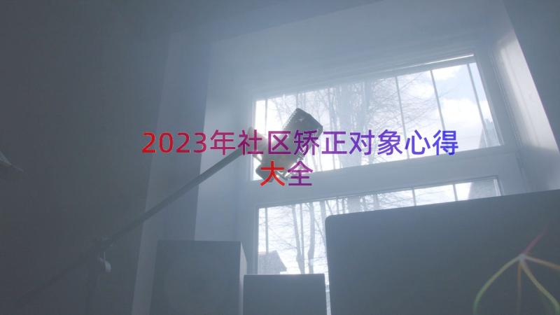 2023年社区矫正对象心得大全（19篇）