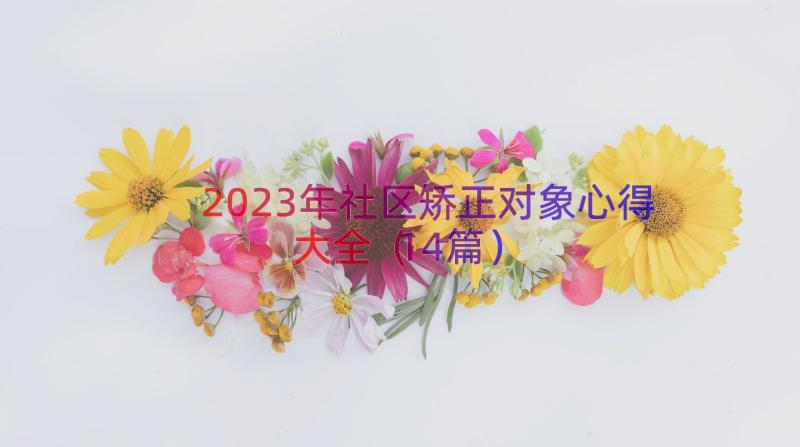 2023年社区矫正对象心得大全（14篇）