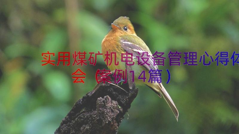 实用煤矿机电设备管理心得体会（案例14篇）