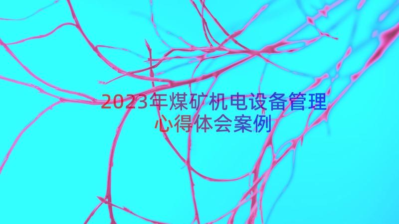 2023年煤矿机电设备管理心得体会（案例17篇）