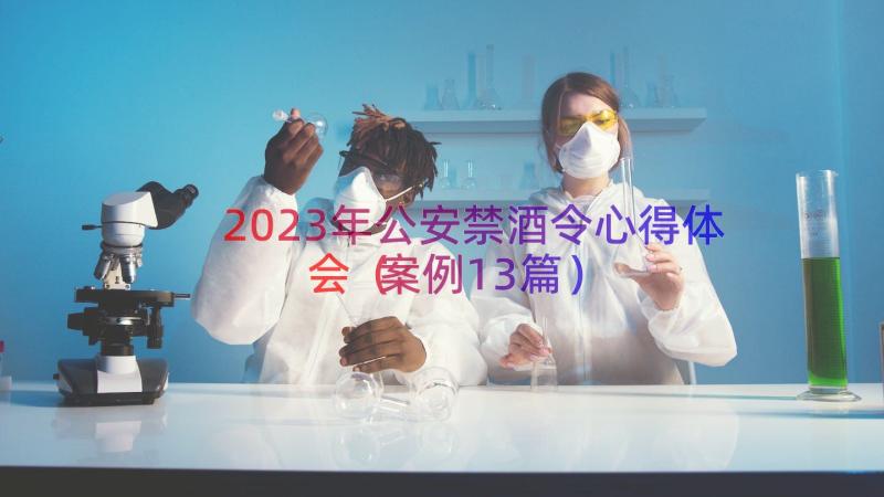 2023年公安禁酒令心得体会（案例13篇）