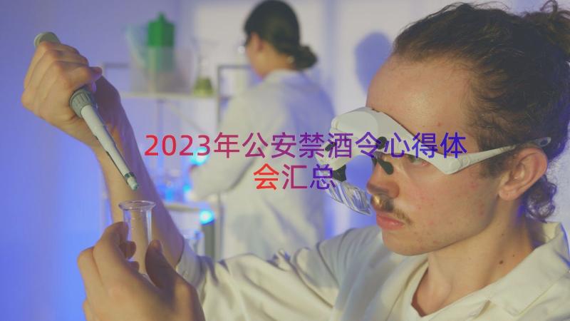 2023年公安禁酒令心得体会（汇总14篇）