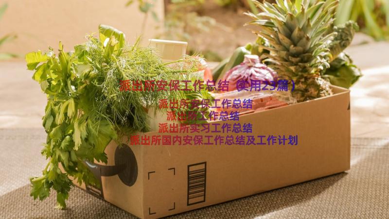 派出所安保工作总结（实用23篇）