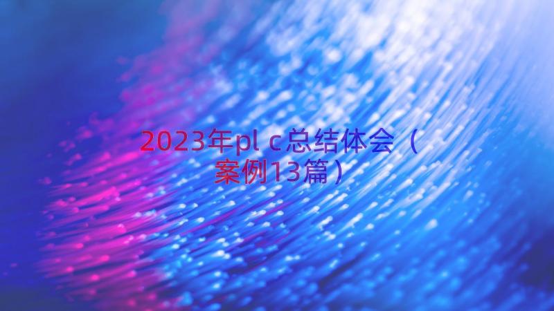 2023年plc总结体会（案例13篇）