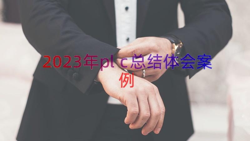 2023年plc总结体会（案例12篇）