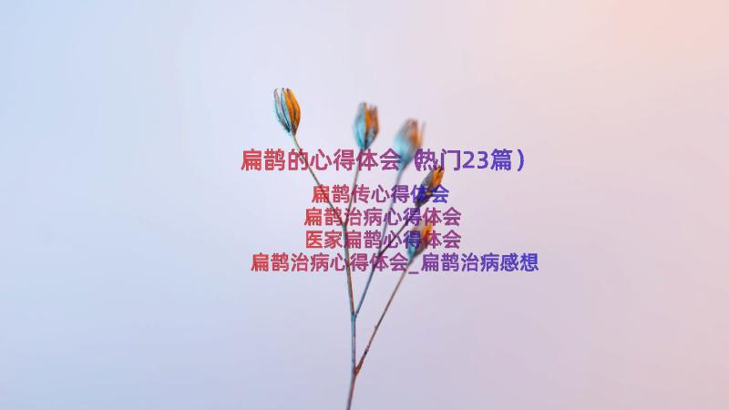 扁鹊的心得体会（热门23篇）