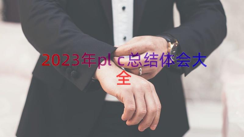 2023年plc总结体会大全（14篇）