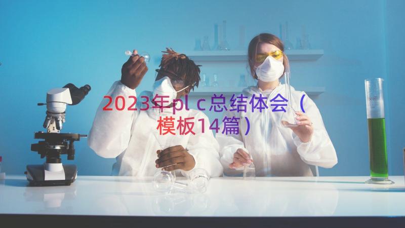 2023年plc总结体会（模板14篇）