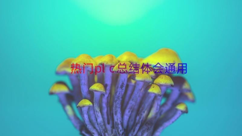 热门plc总结体会（通用15篇）