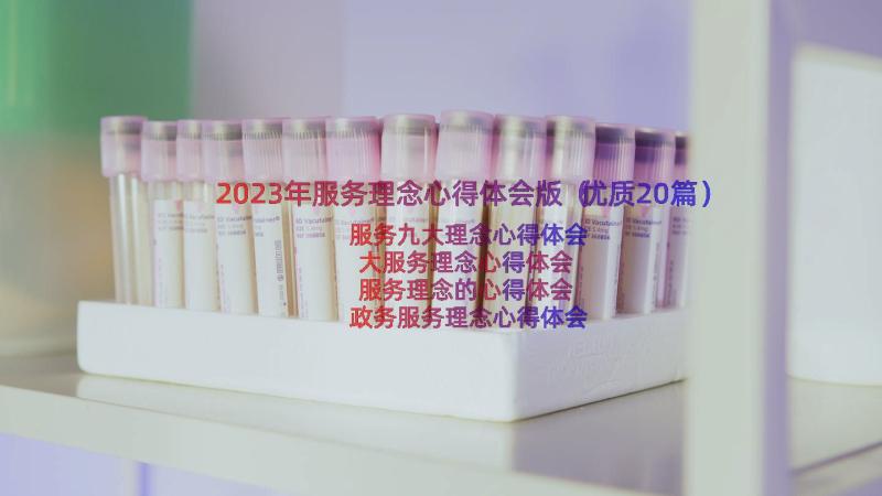 2023年服务理念心得体会版（优质20篇）