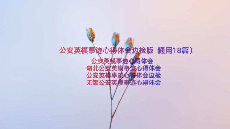 公安英模事迹心得体会边检版（通用18篇）