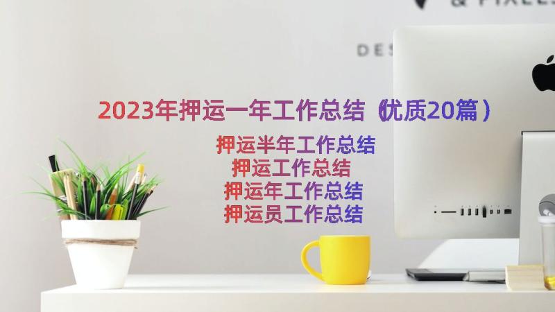 2023年押运一年工作总结（优质20篇）