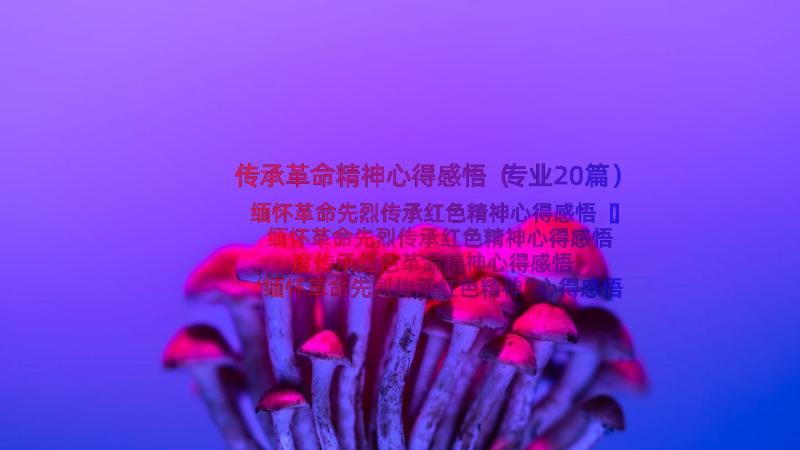 传承革命精神心得感悟（专业20篇）