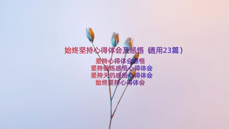 始终坚持心得体会及感悟（通用23篇）