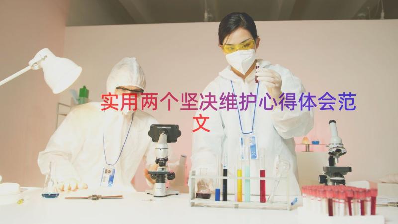 实用两个坚决维护心得体会范文（13篇）